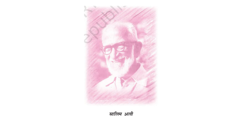 हिंदवी