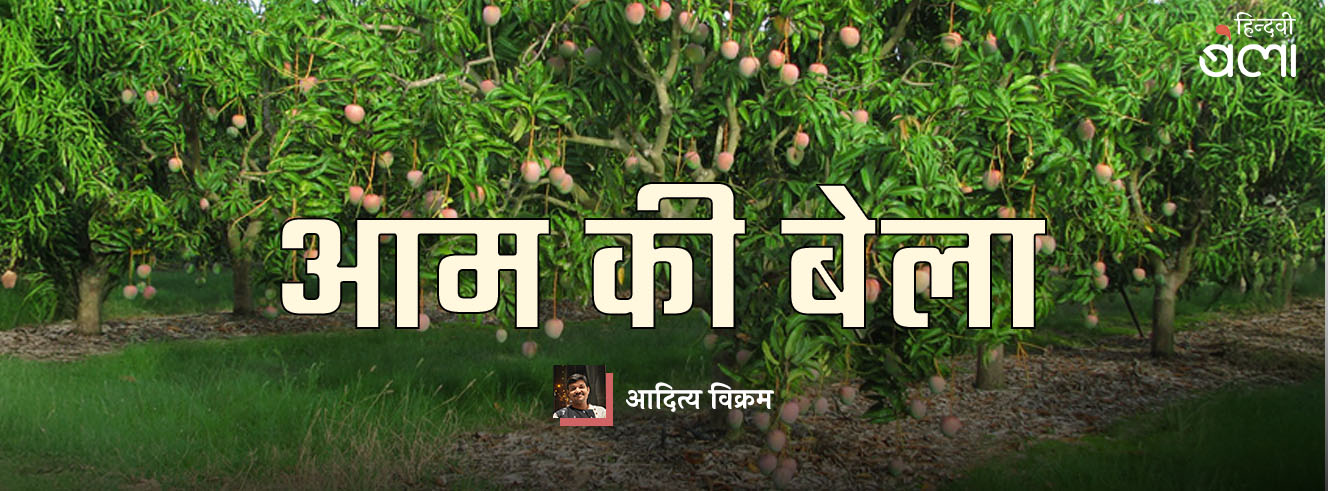 आम की बेला आम की बेला