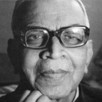 वि. कृ. गोकाक